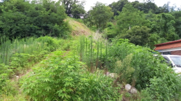 목록 3. 토지, 목록 4. 토지 전경