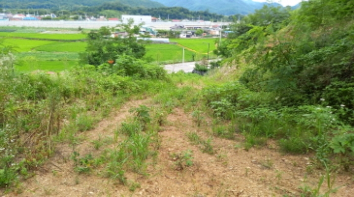 목록 2. 토지, 목록 5. 토지, 목록 6. 토지 전경