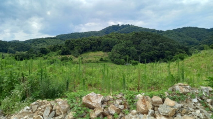 목록 2. 토지, 목록 5. 토지, 목록 6. 토지 전경