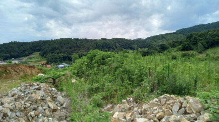 목록 2. 토지, 목록 5. 토지, 목록 6. 토지 전경