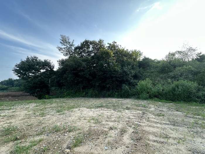 일련번호 2) 토지 전경