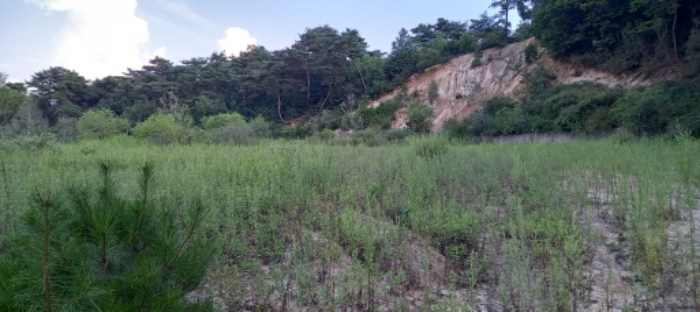 목록 2. 토지 전경