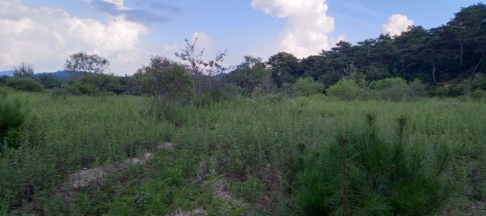 목록 2. 토지 전경