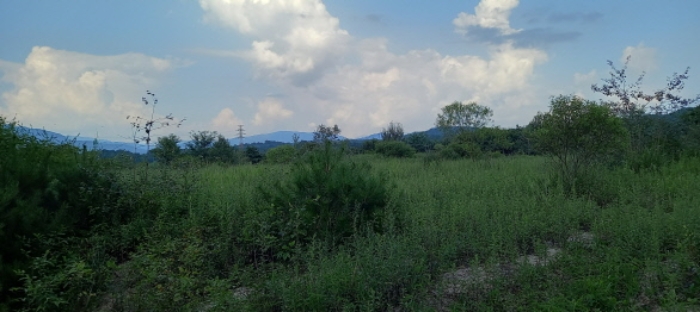 목록 2. 토지 전경