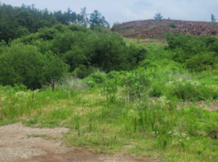 경북 성주군 선