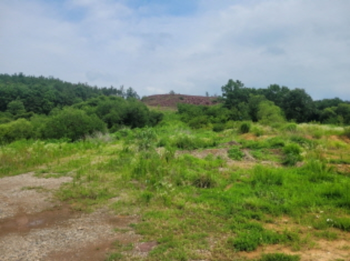 경북 성주군 선