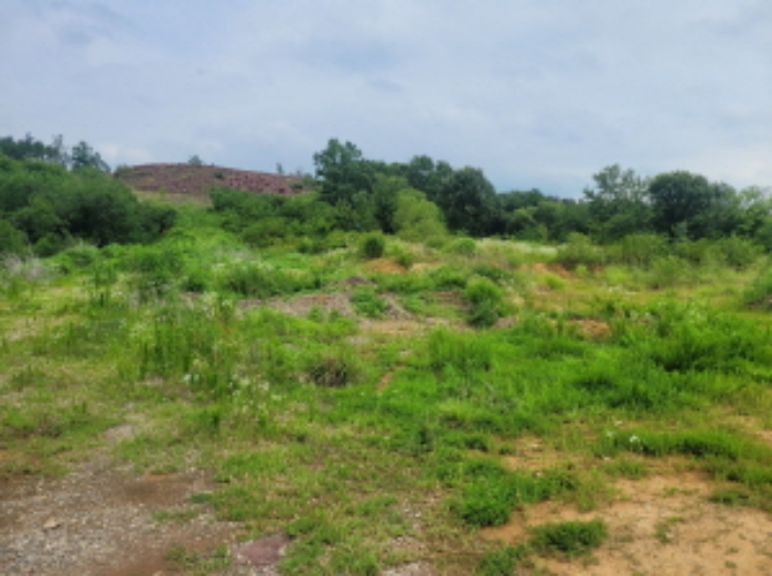 경북 성주군 선