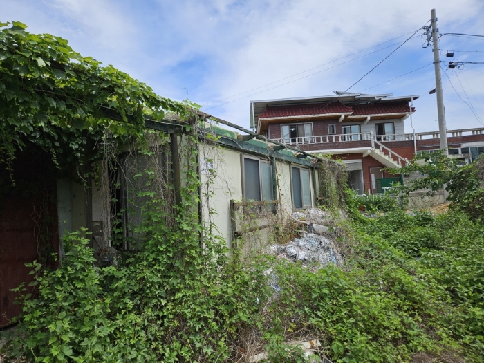 제시외 ㄱ) 전경