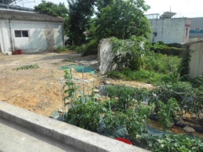 이하 교항리 1233