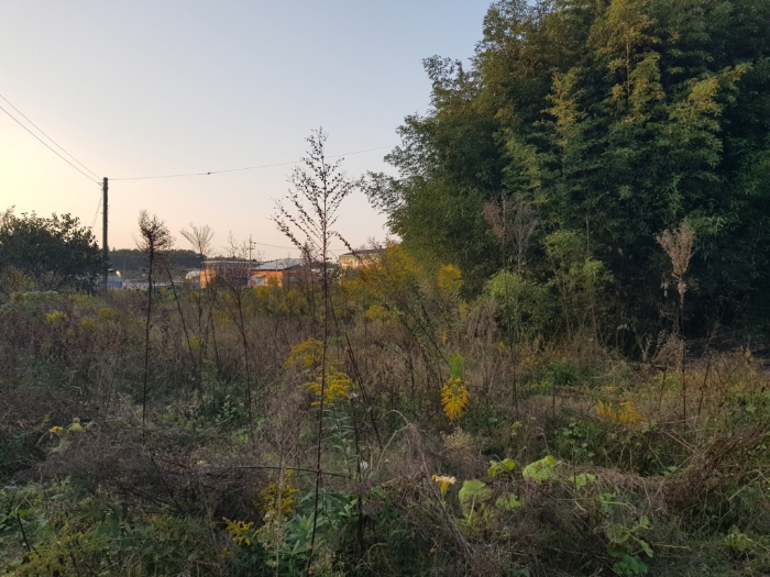 본건 토지 일련번호(2)