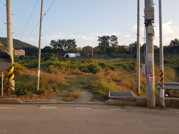 본건 토지 일련번호(1)