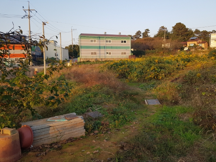 본건 토지 일련번호(1)