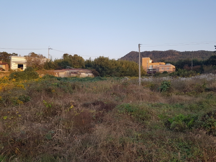 본건 토지 일련번호(1,2)