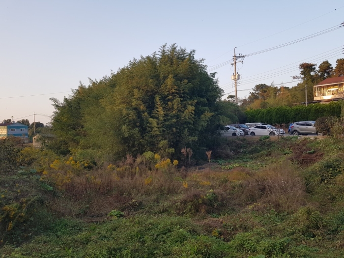 본건 토지 일련번호(2)