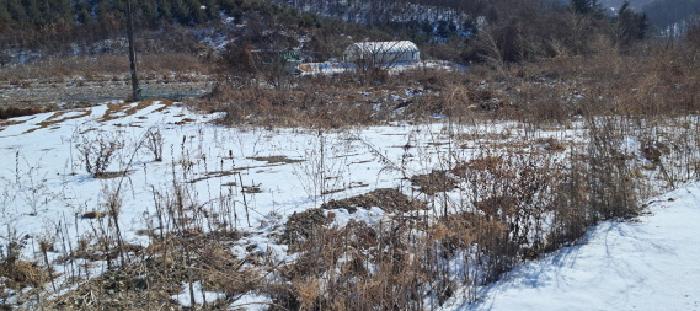 목록5 토지 전경(3)