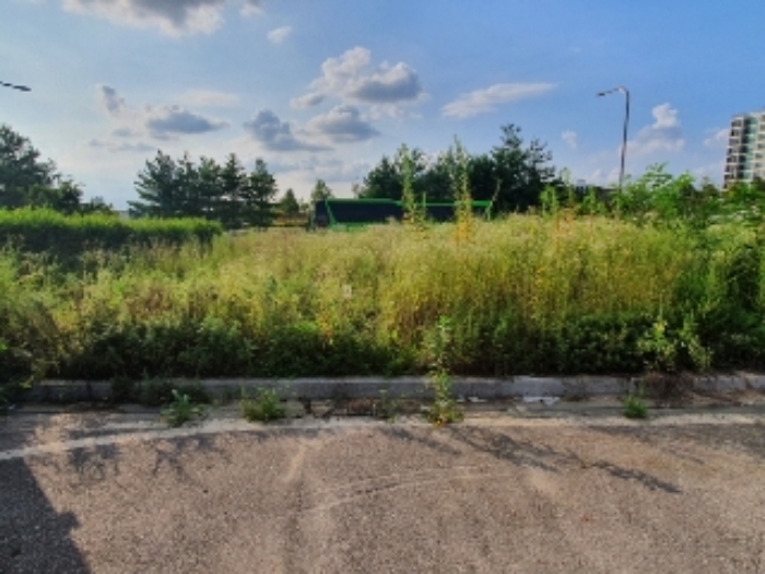 해당 토지 전경