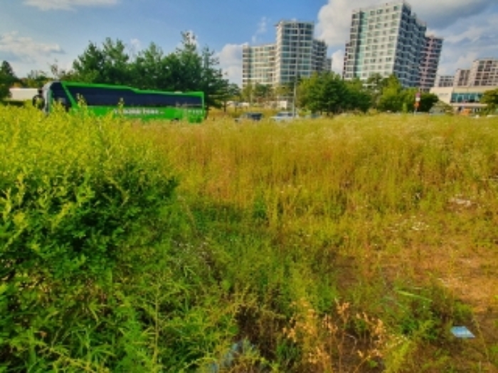 해당 토지 전경