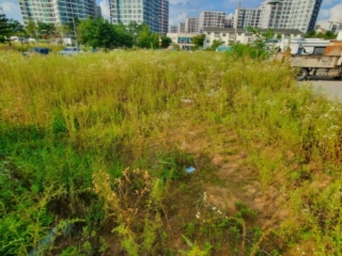 해당 토지 전경