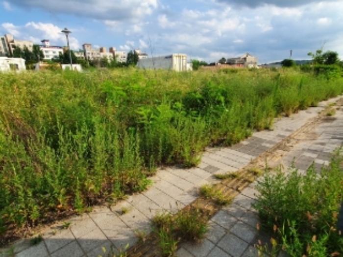 해당 토지 전경