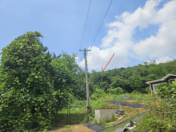 본건 및 진입로