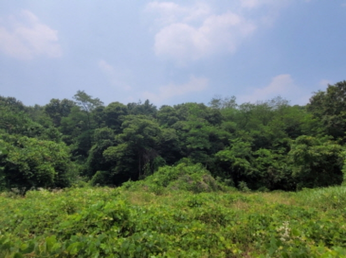 해당 부동산 전경