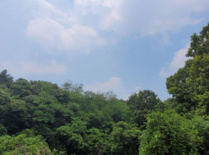 해당 부동산 전경