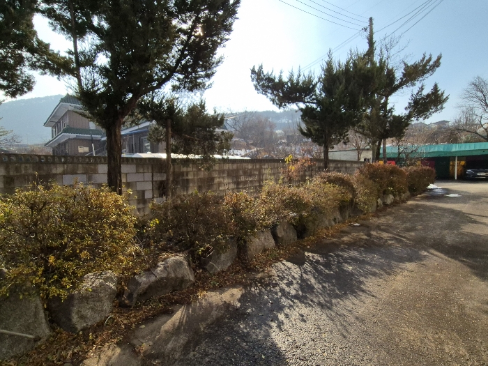 제시외 수목 ㄹ)