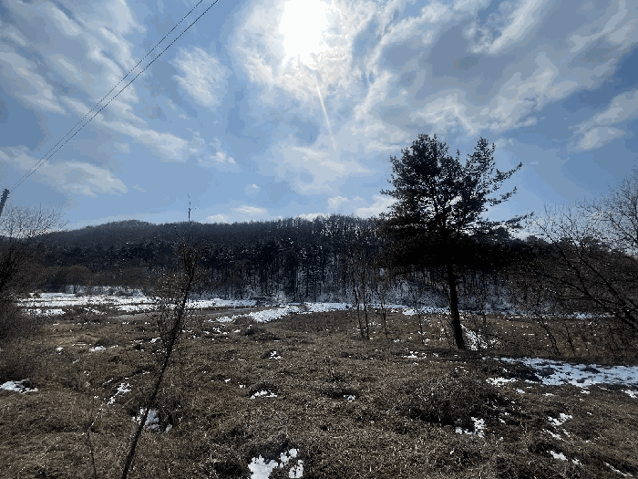 본건 기호(1~3) 전경