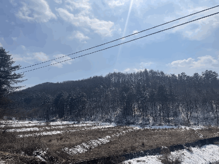 본건 기호(1~3) 전경