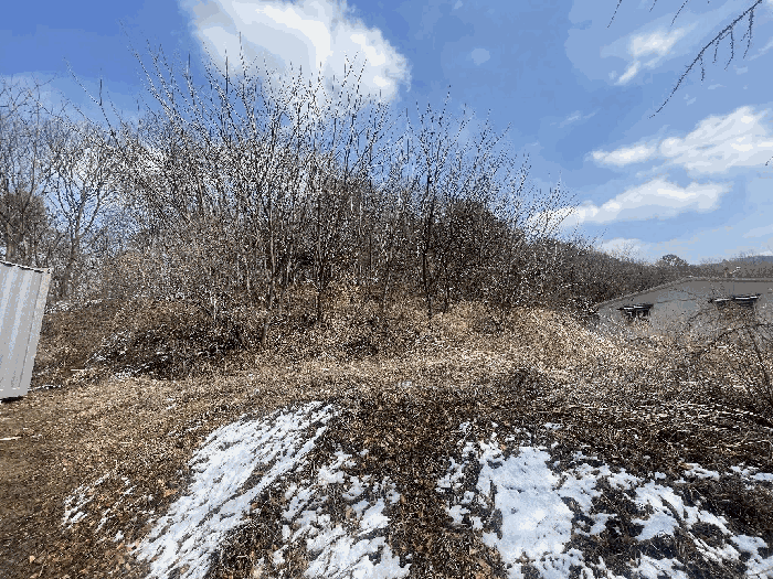 본건 기호(1~3) 전경