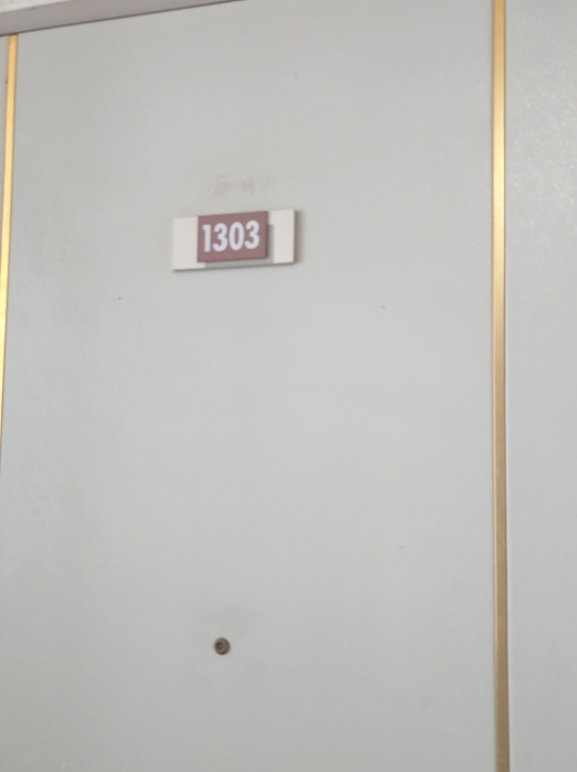 1303호