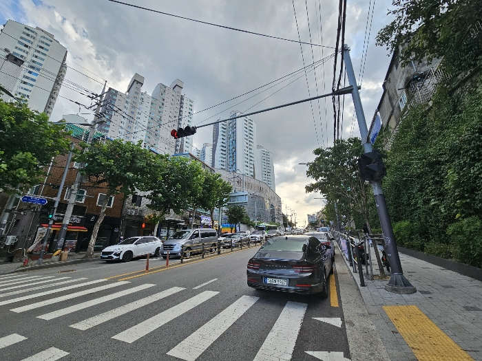 단지 및 주위전경