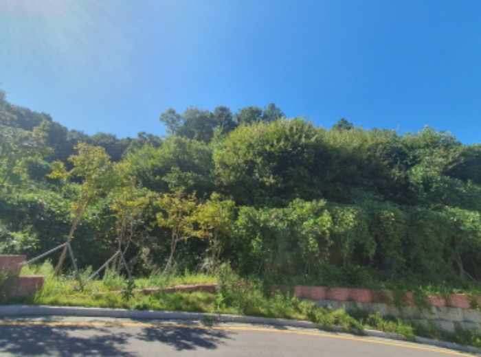 현장사진(쌍동리