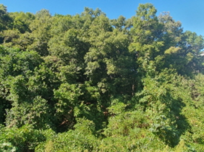 현장사진(쌍동리