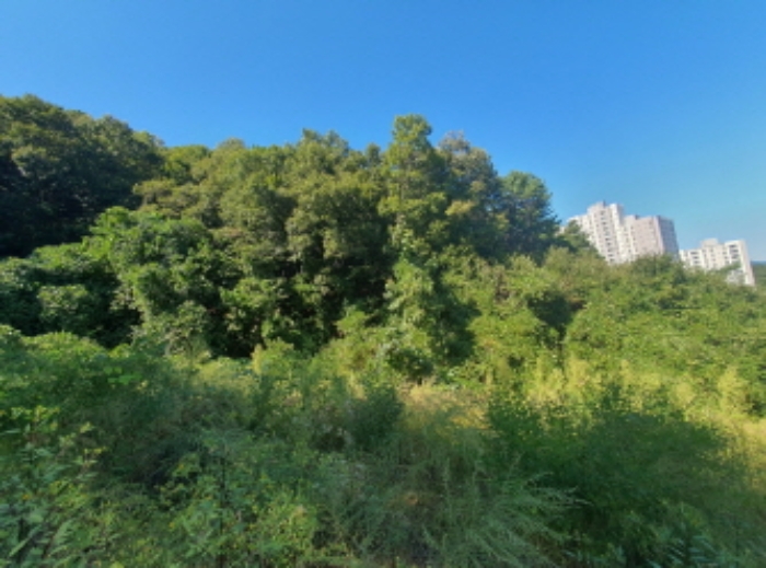 현장사진(쌍동리