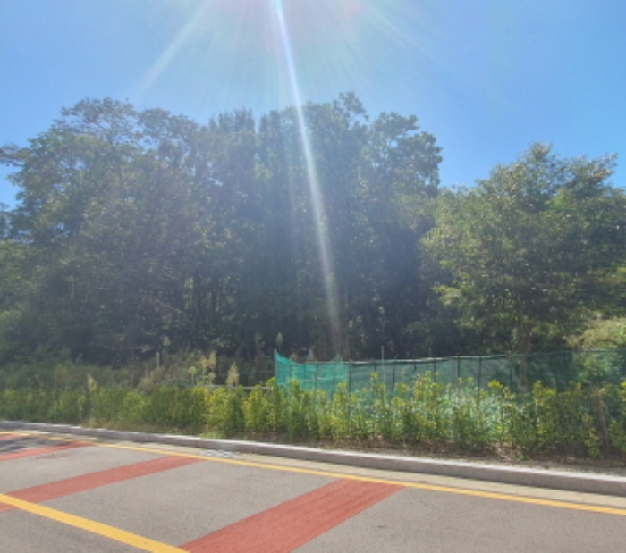 현장사진(쌍동리