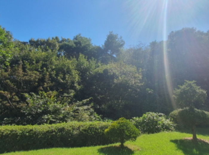 현장사진(쌍동리