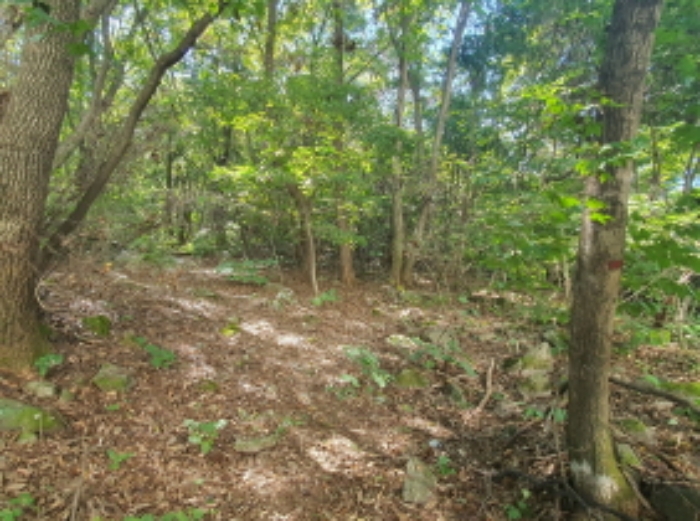 현장사진(쌍동리