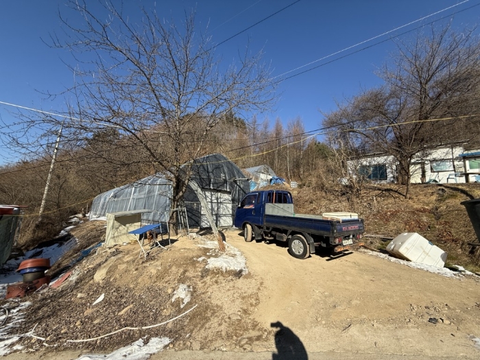 본건 경계지상 파이프조하우스