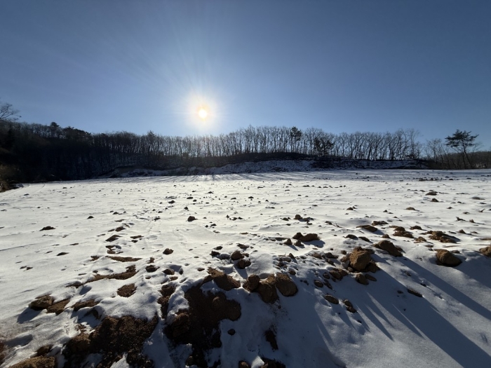 본건 휴경지부분