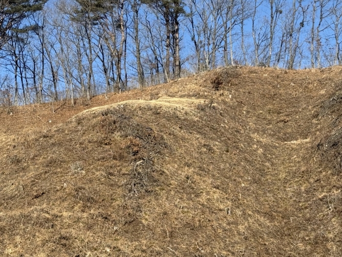 본건 지상위 분묘