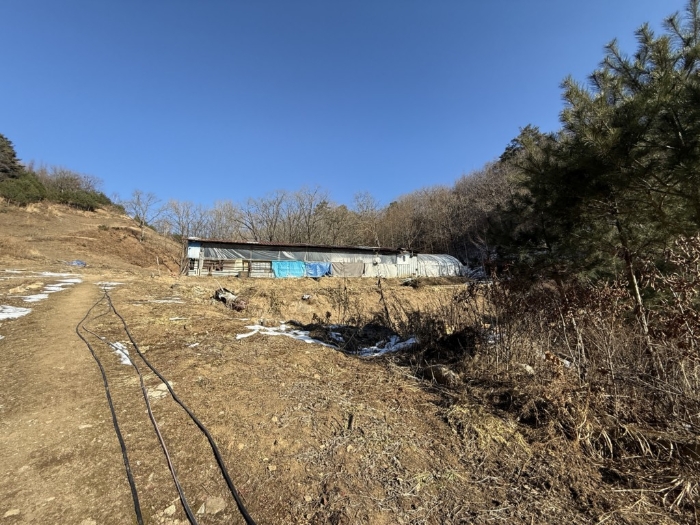 본건 지상위 제시외건물