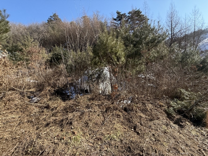 본건 지상위 파이프조하우스