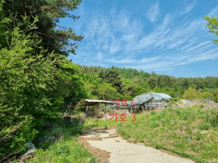 [기호 3  6 전경]