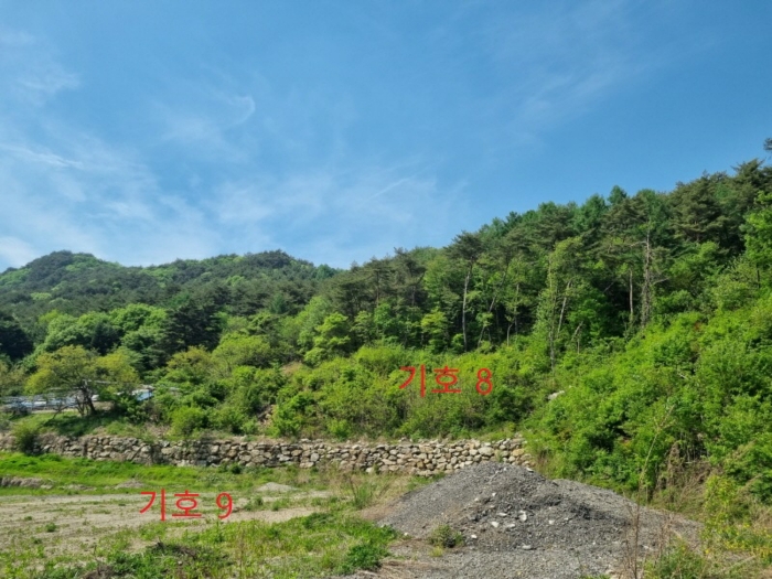 [기호 8 9 전경]