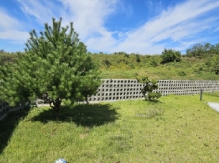 제시 외 조경수