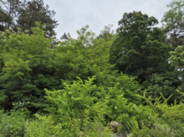 목록6~7번 전경1