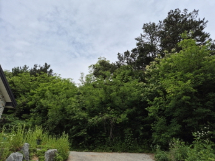 목록6~7번 전경2