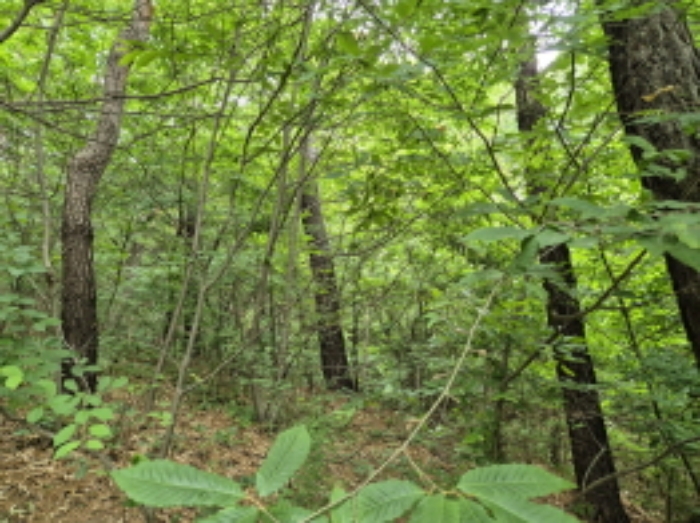 목록6~7번 전경3