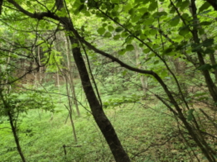 목록6~7번 전경4